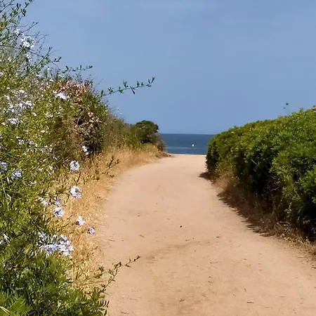 Studio Pieds Dans L'eau شقة *